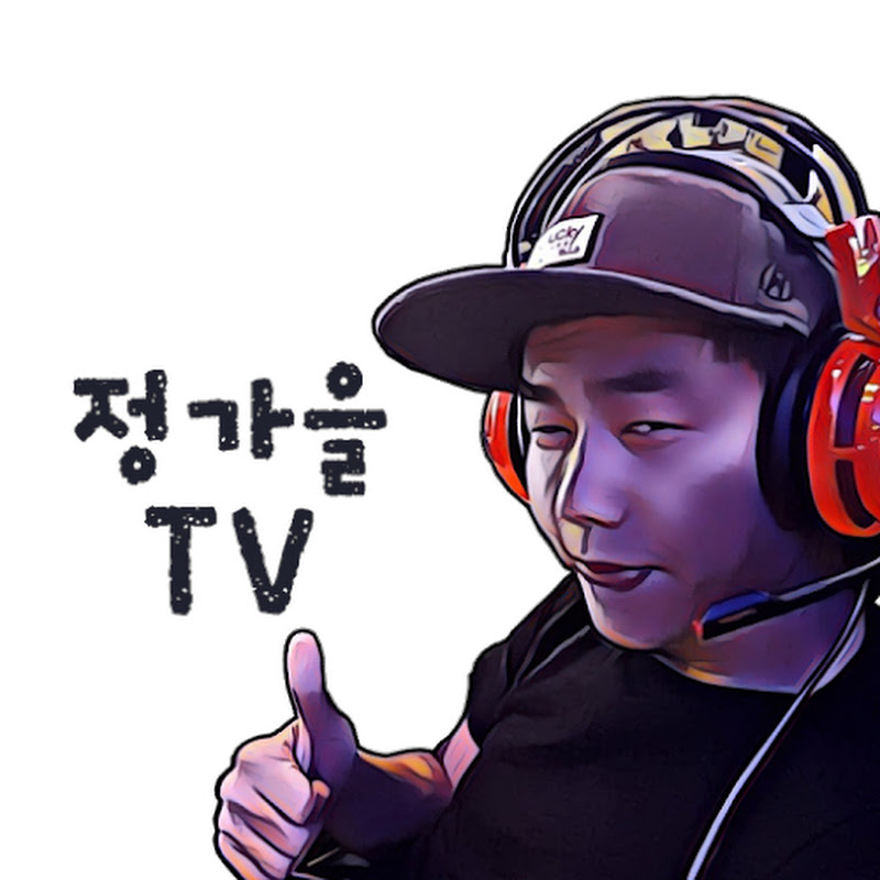 정가을TV