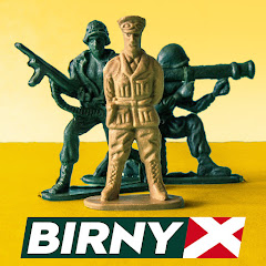BirnyX thumbnail