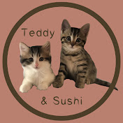 Teddy and Sushi