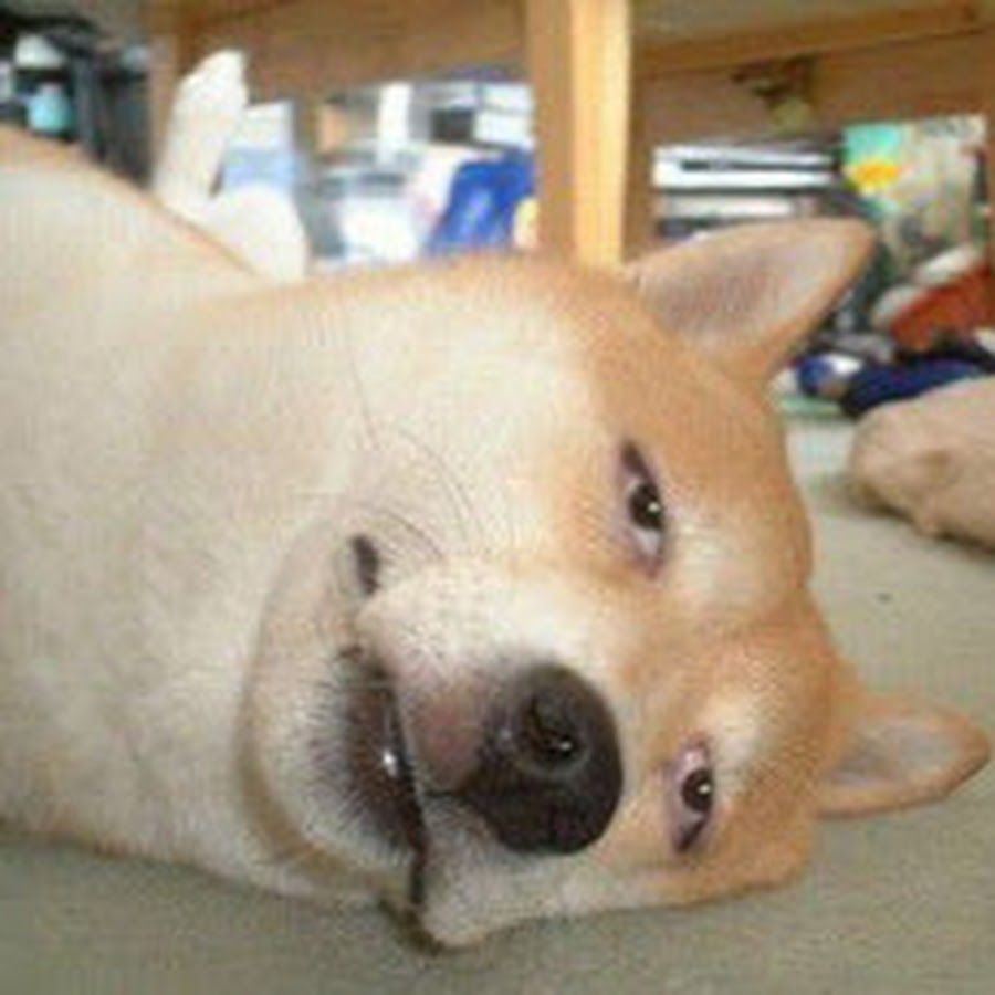 暇つぶし動画チャンネル Youtube