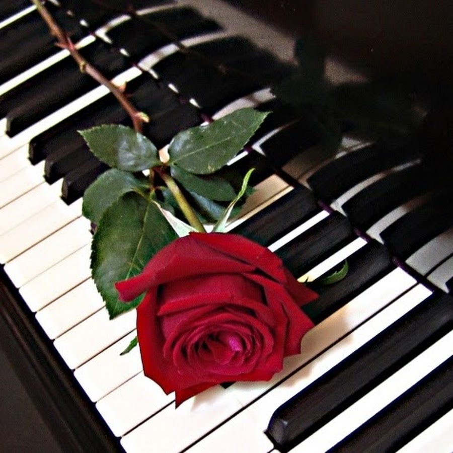 Красивые картинки рояль и цветы