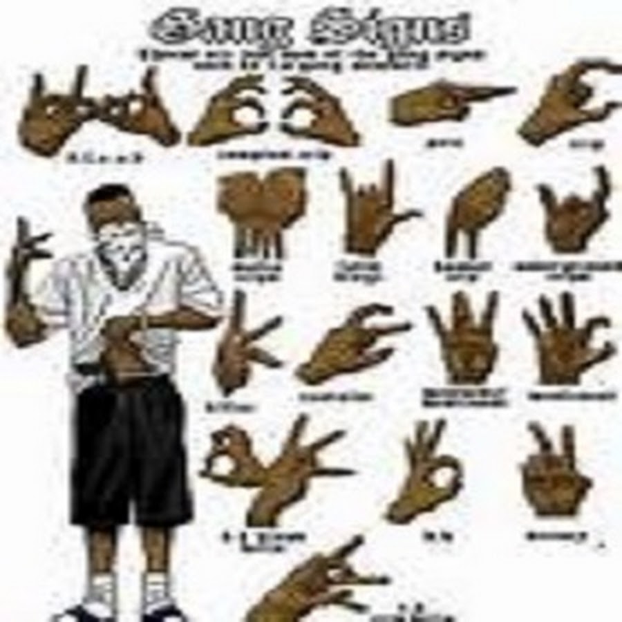 AKedOLSmu-0HoNYtVuNCX8KHffDjhfWBrJ8fl0eDU6Wm=s900-c-k-c0x00ffffff-no-rj