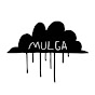 MULGA THE ARTIST ASIA YouTube Profile Photo
