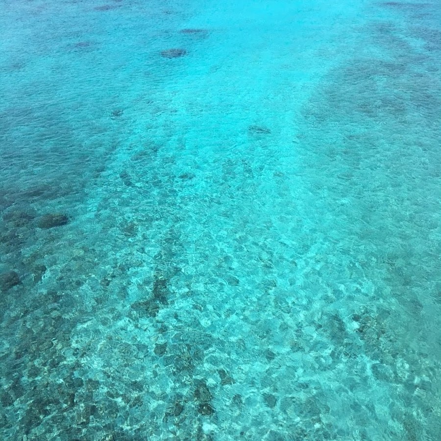 ホセメンドーサ Youtube