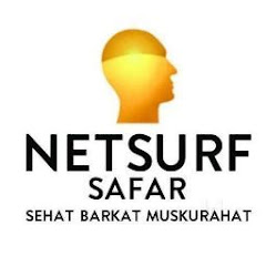 NETSURF - SAFAR