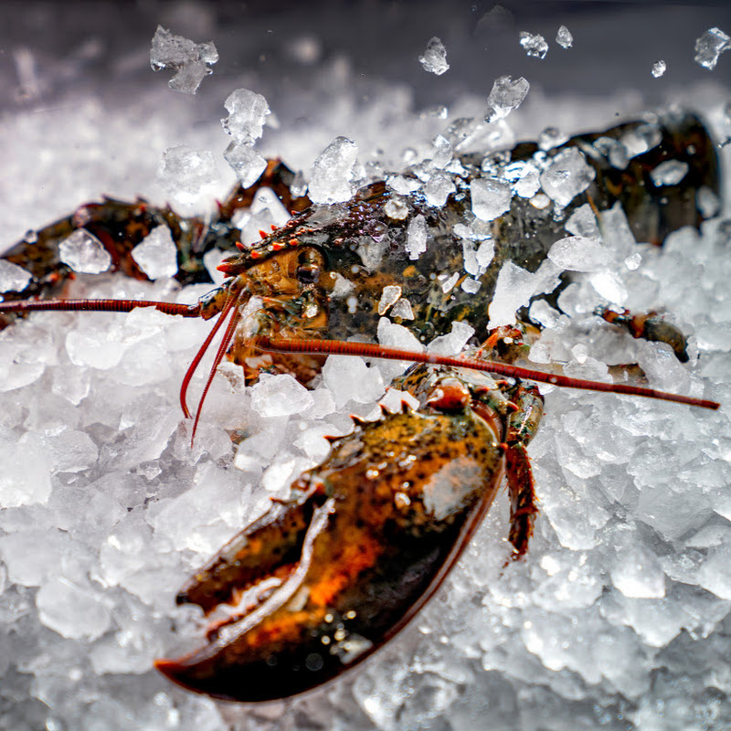 Harry PAN - 網紅的藏寶箱 