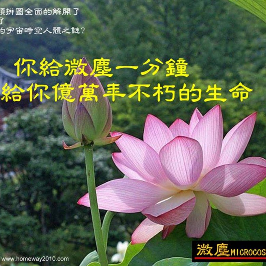 Homeway Chen Youtube