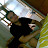 piyush shanan Avatar
