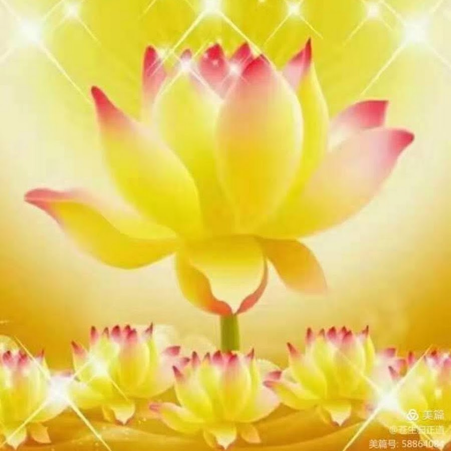 随缘唤众生 Youtube