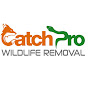 CatchPro Wildlife Removal YouTube Profile Photo