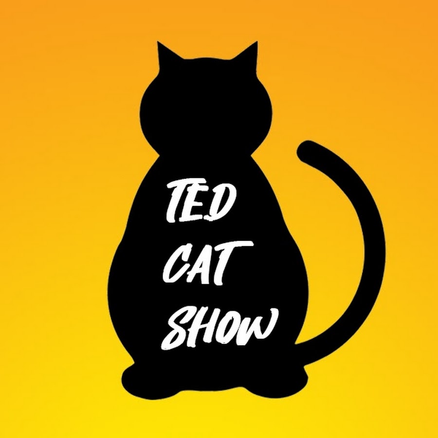 Кэт шоу. Cat show. Cat show poster.