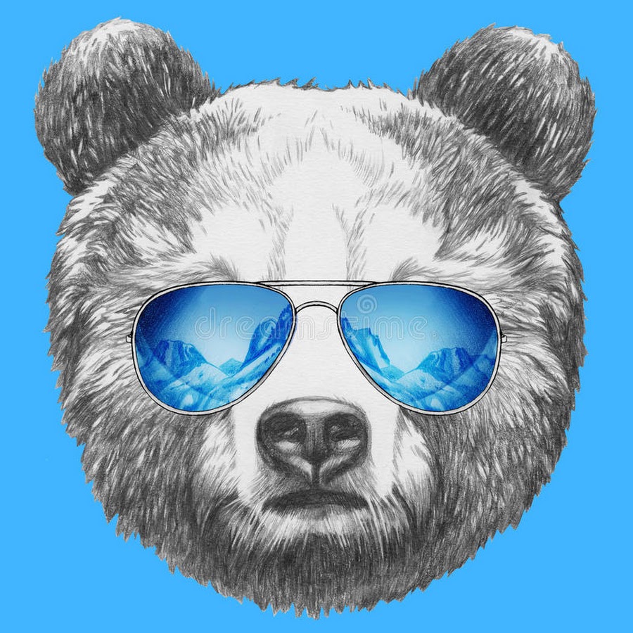 COOL BEAR.