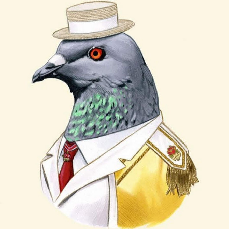 Голубь в кепке. Голубь в галстуке. Пиджеон голубь. Удивленный голубь. Голубь в фуражке.