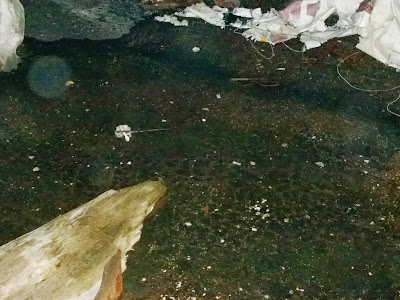 二拍子歌曲 103480-二拍子歌曲