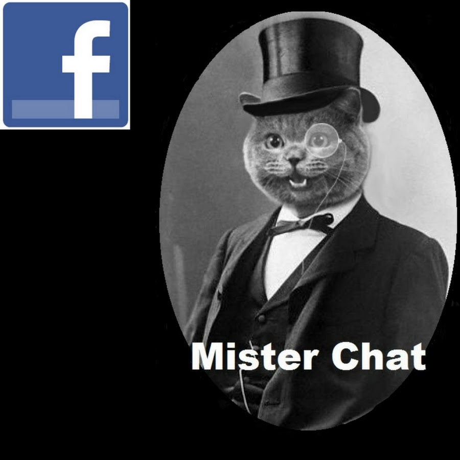 Mister Chat Youtube