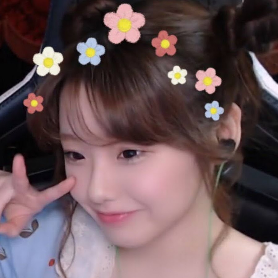 리포포ripopo Youtube Stats Channel Analytics Hypeauditor