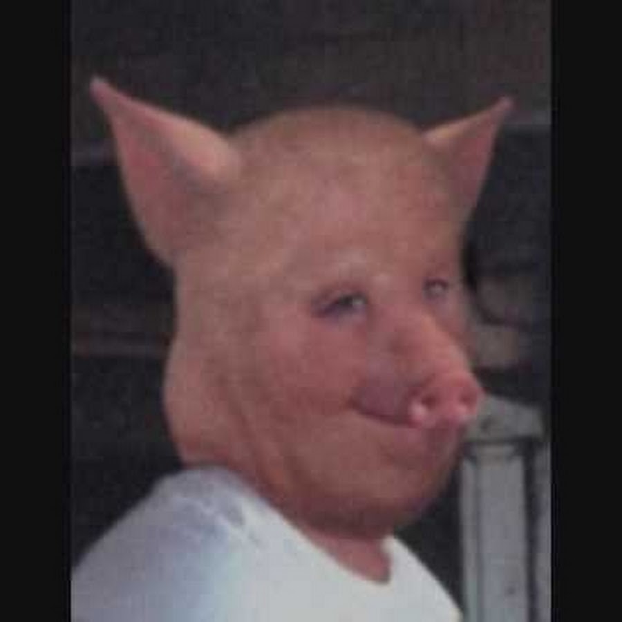 Татуаж на живых свиньях. Свинья. Свентя. Собака похожая на поросенка. На что похожа свинья.