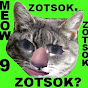 Zotsok - @Zotsok YouTube Profile Photo