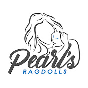 Pearls Ragdolls
