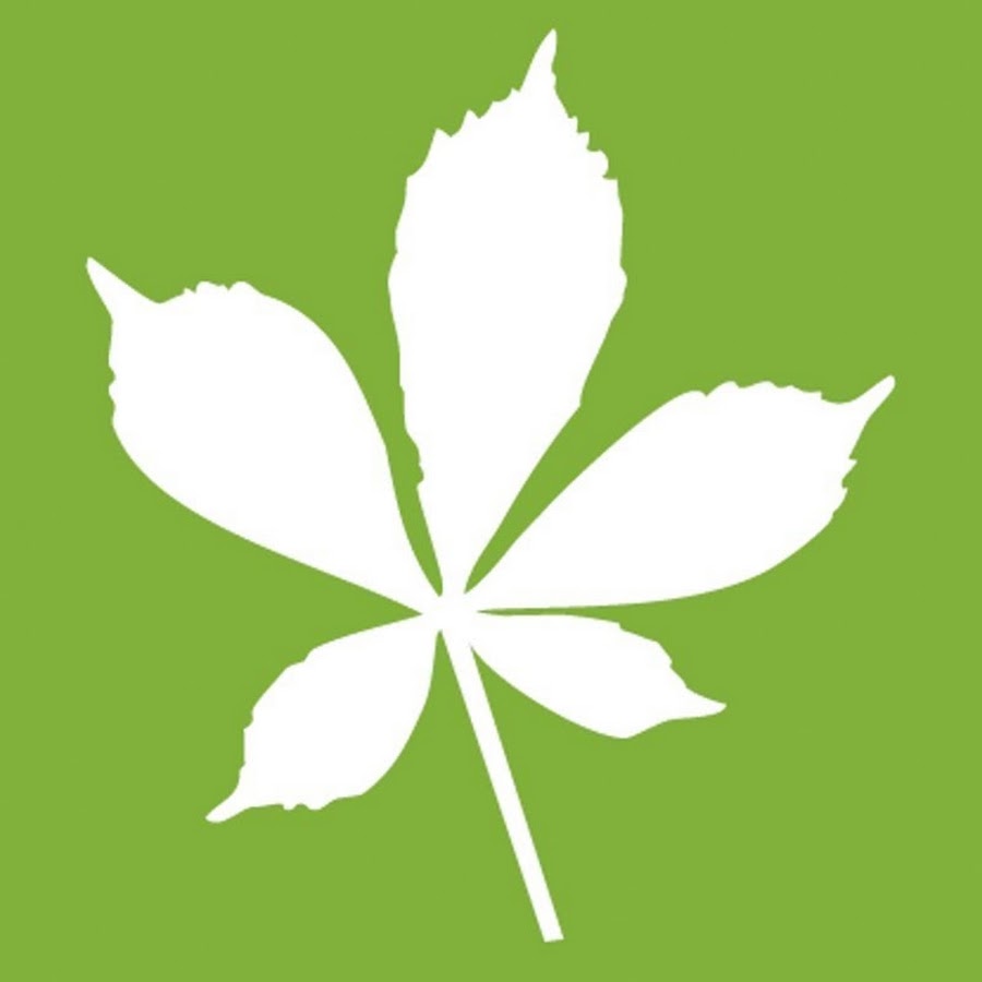 AKedOLSrDYHoYH2UrbCZa9ZXGRmkBNUcdrHkmw0HW_RT=s900ckc0x00ffffffnorj