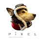 PiXEL 公式チャンネル