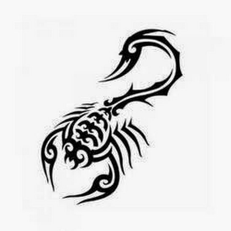 Тату скорпион на предплечье мужские эскизы