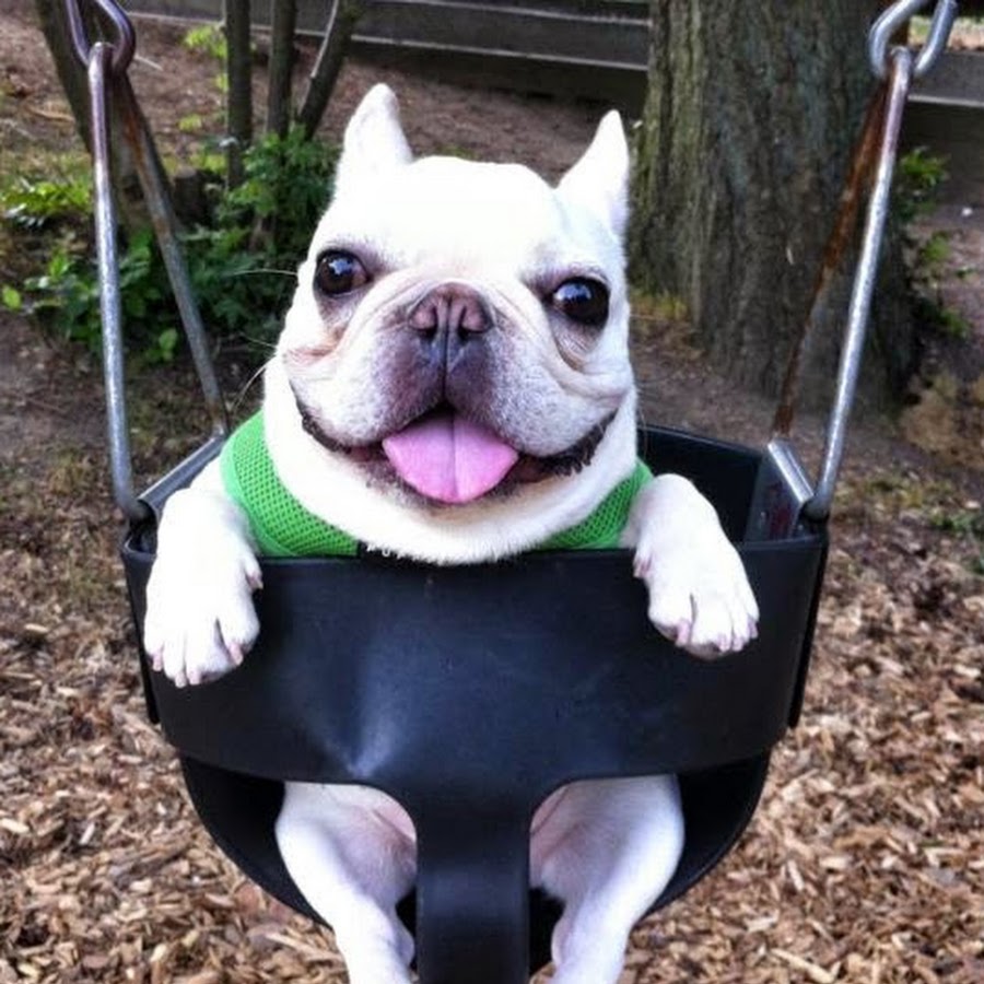 VoRTEx Vibez - YouTube