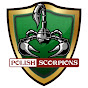 Polish Scorpions