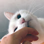 AKedOLSsayGpYBo07aPtchmbt22K9FzK8iBMDpJMtTP-iA=s88-c-k-c0x00ffffff-no-rj