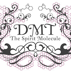 DMT: The Spirit Molecule thumbnail