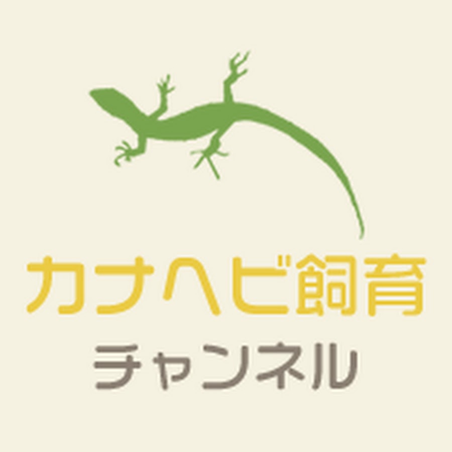 カナヘビ飼育チャンネル Youtube