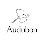 AudubonTexas - @AudubonTexas YouTube Profile Photo