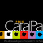 Quand planter un catalpa ?