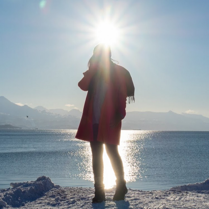 西踢 - 網紅的藏寶箱 