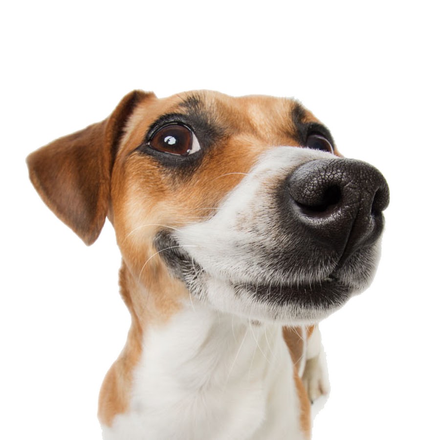 Magdalene isaac. азазель из the binding of isaac. как открыть азазеля в айзеке. азазель демон пустыни. как открыть азазеля в айзеке.