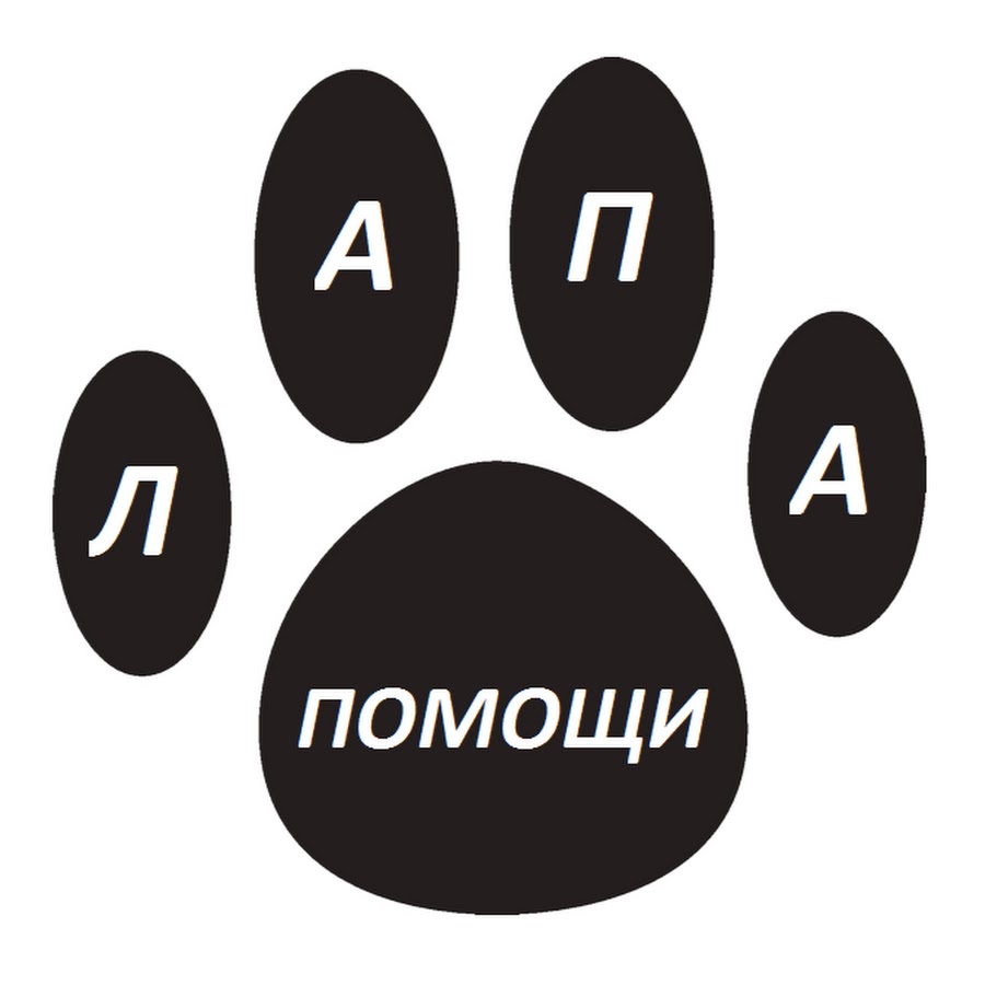 Лапа помощи. Лапа помощи. Лапки поддержки. Лапа помощи эмели. Лапка помощи.