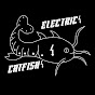 Electric Catfish - @ElectricCatfish98 YouTube Profile Photo