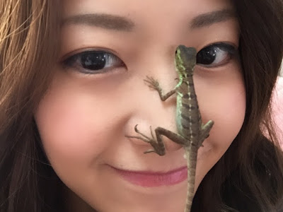 √100以上 爬虫類 画像 670804-爬虫類 画像