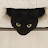 MundMoriginal Avatar