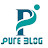 Pure Blog
