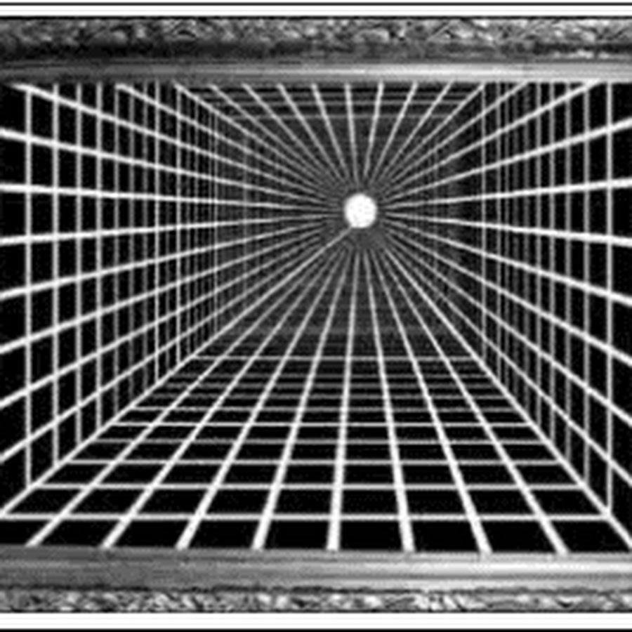 Изображение сетка альберти. Сетка альберти 6 класс. Сетка альберти 6 класс изо. Сетку альберти построение. Изображение сетка альберти.