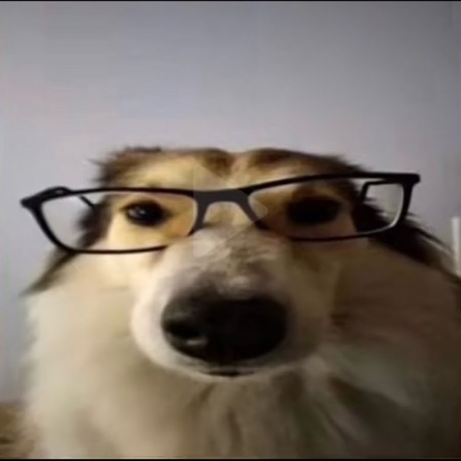 Professor Kermit - YouTube
