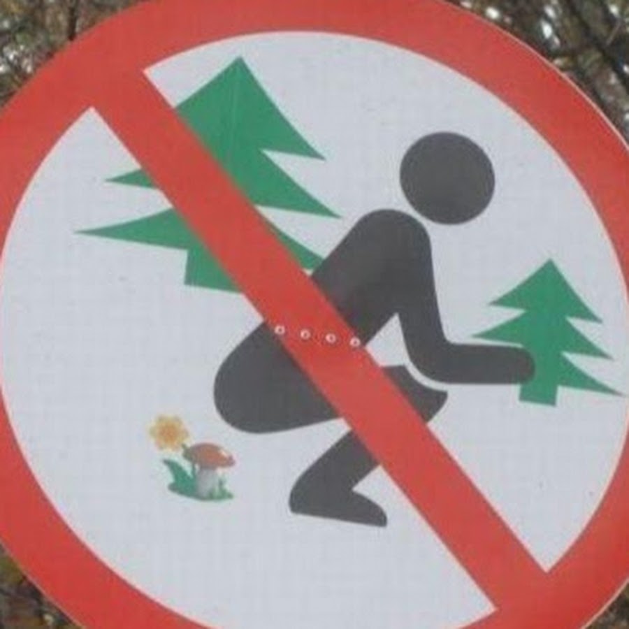 Запрещающие знаки в заповеднике