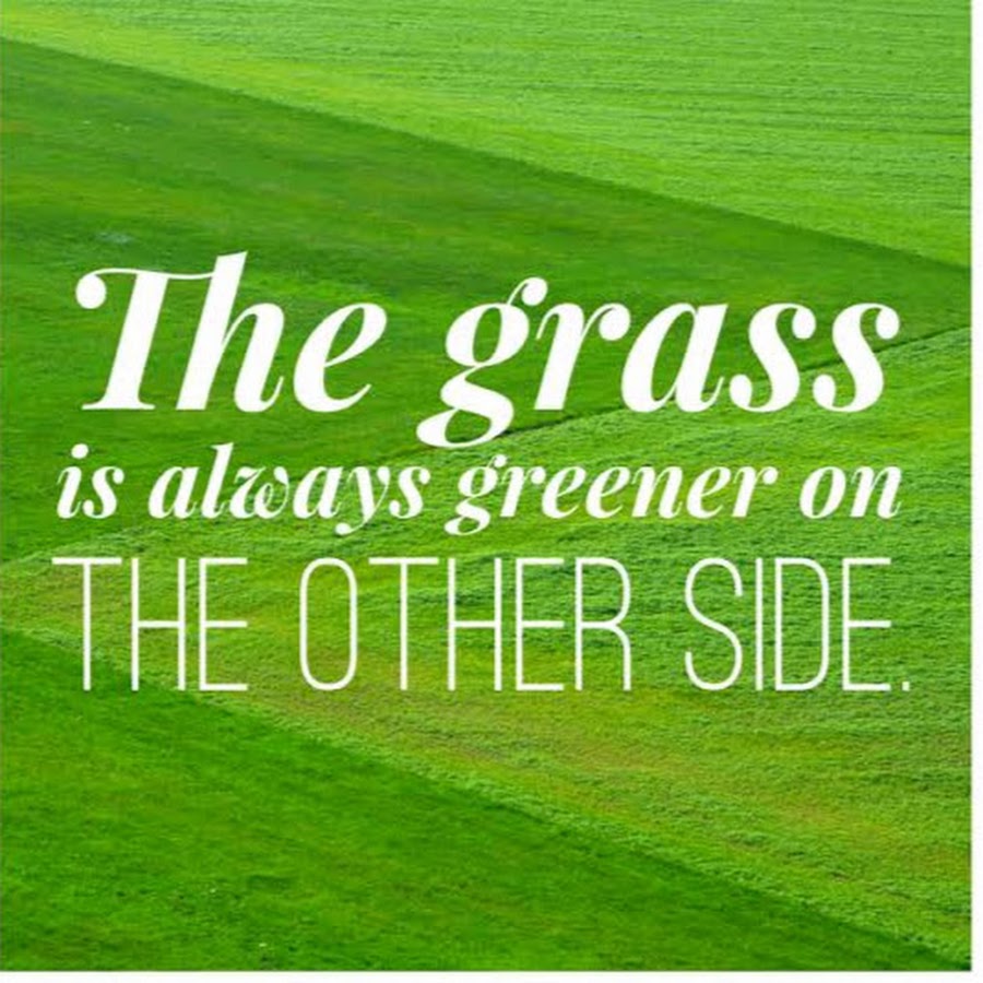 The grass is always greener on the other side of the fence. The grass is always greener. Grass greener on the other side. The grass is always greener on the other side of the fence. The grass is always greener on the other side.