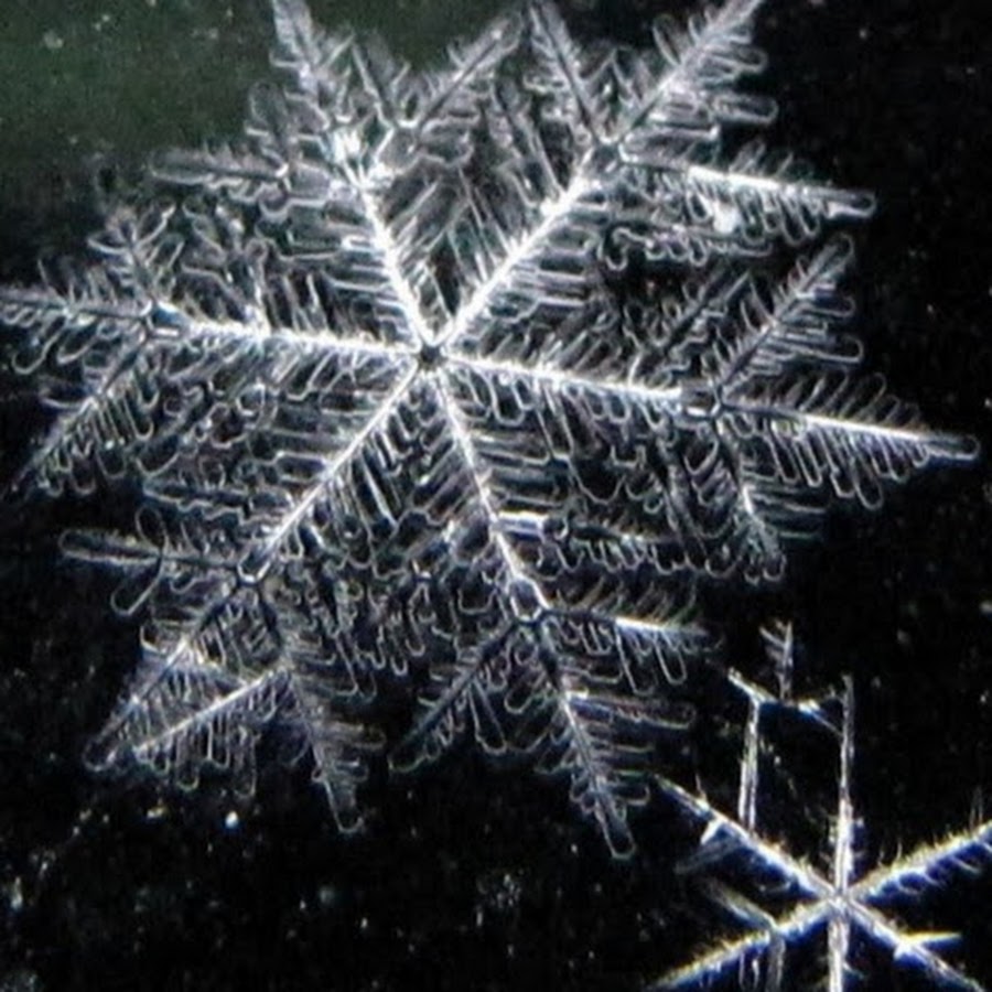 Игольчатые снежинки. Формы снежинок в природе. Снежинка пластинка. Снежинки. Снежинки ежи.