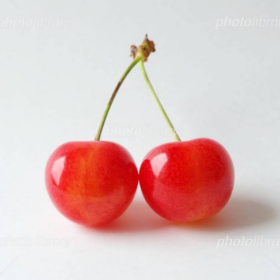 42 割引流行に さくらんぼうさん 各種パーツ 素材 材料 Blog Abramge Com Br