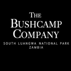 The Bushcamp Company | Mfuwe Lodge thumbnail