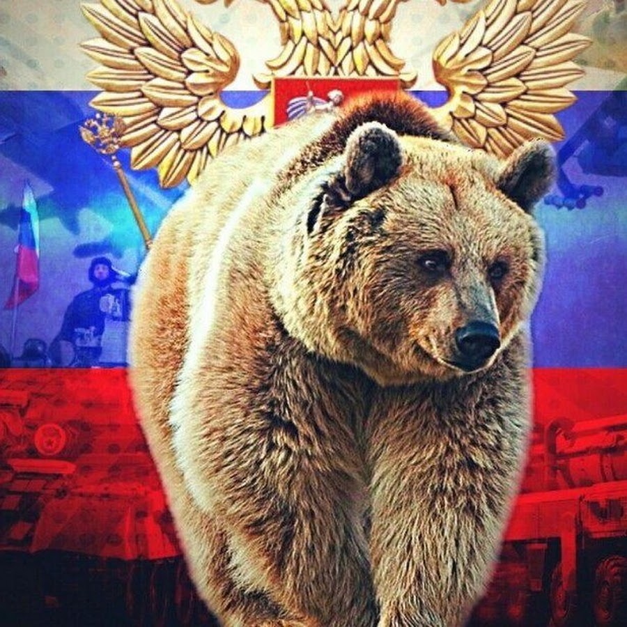 Русский медведь картинка с флагом