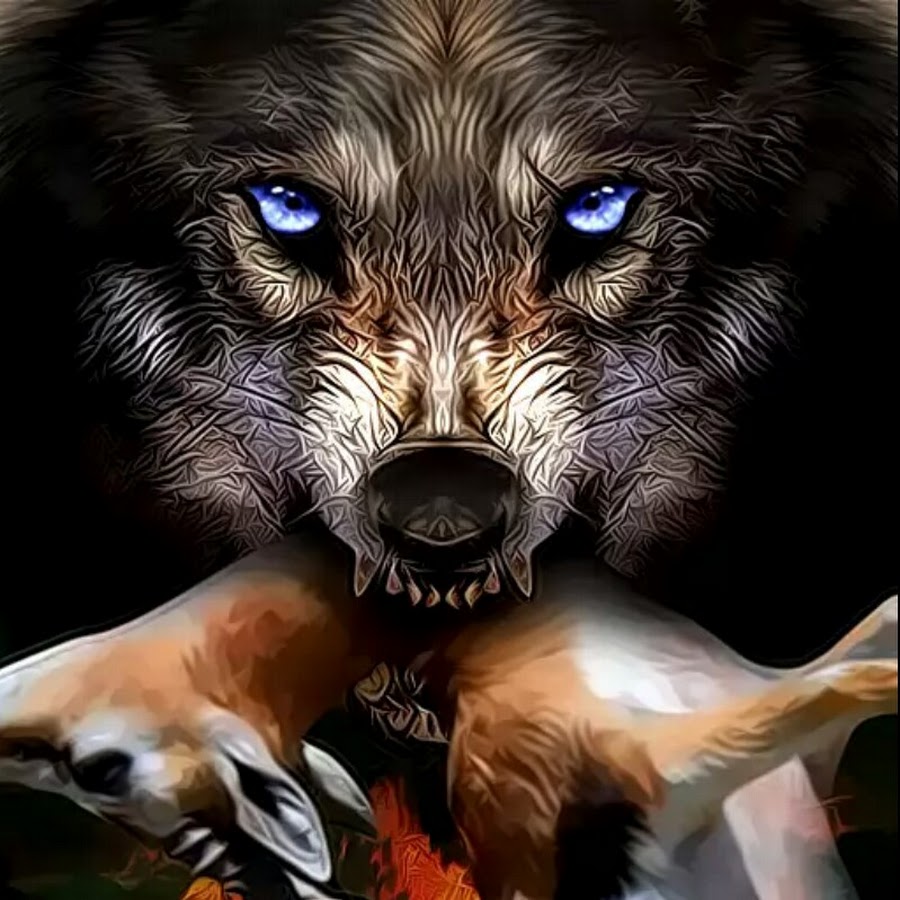 Life of Wolf Reboot