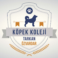 Köpek Koleji thumbnail